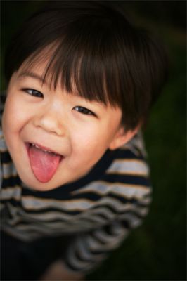 Happy Gardener