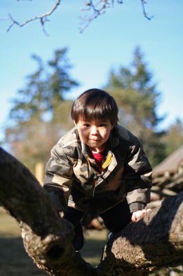 Tree climbing