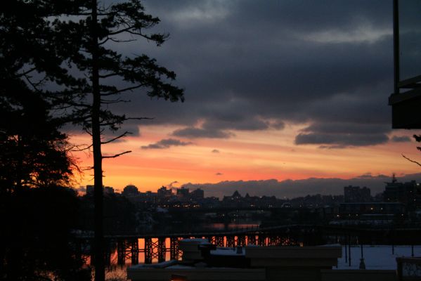 sunrise at the condo