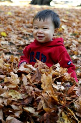 In the leaves