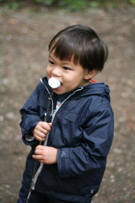 Marshmellows...Caleb's camping addiction!