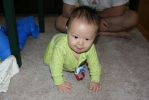 crawling to mommy