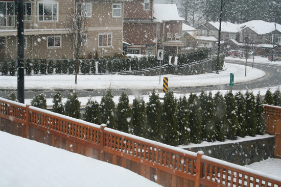 Yard of snow