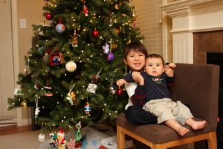 boys_tree