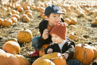 pumpkin patch