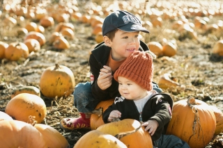 pumpkin patch